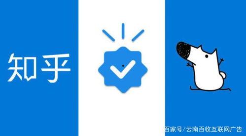 圈内爆料知乎,圈内爆料带你探秘知乎内部世界